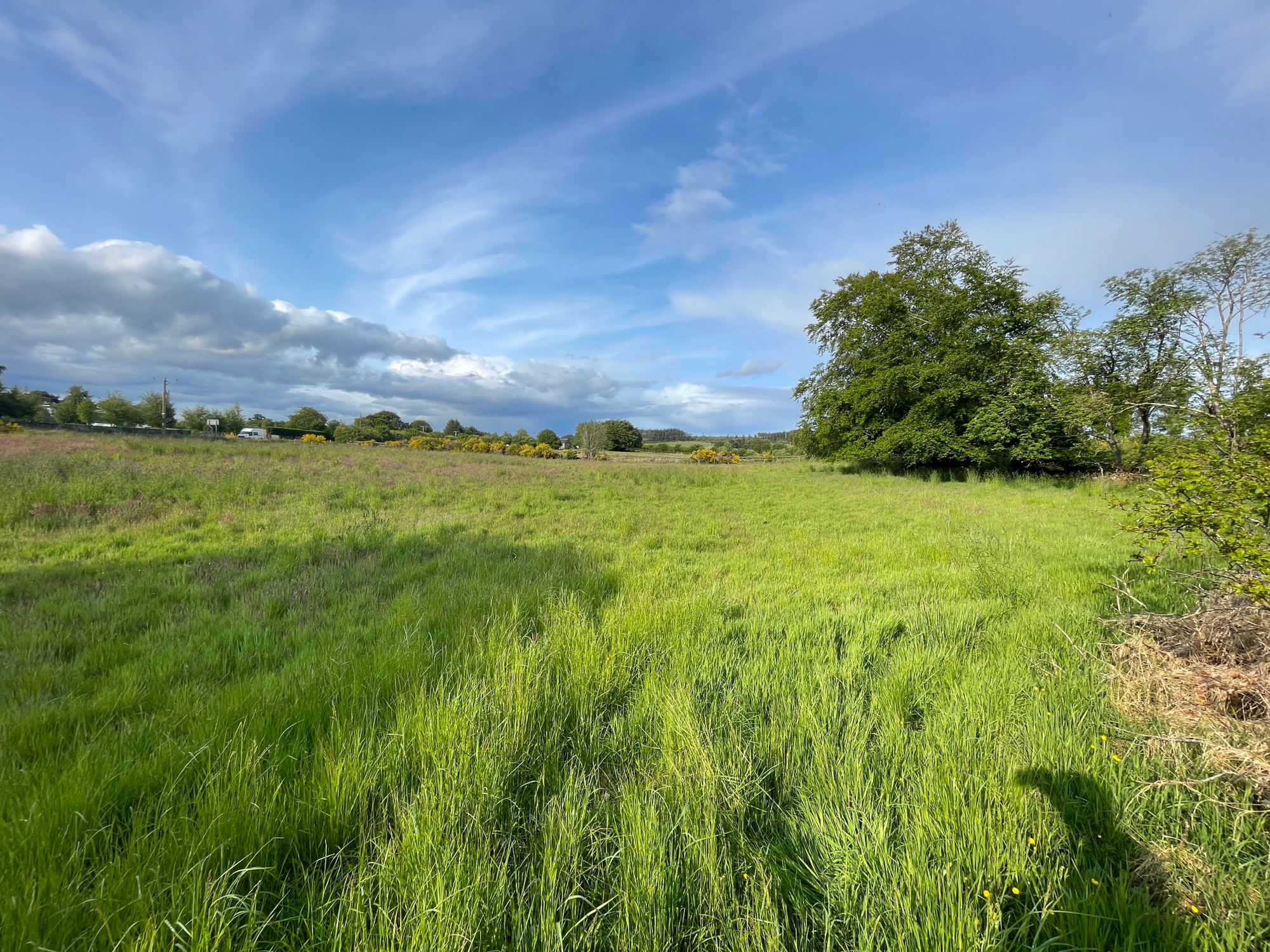 Aberdeen & Northern Estates