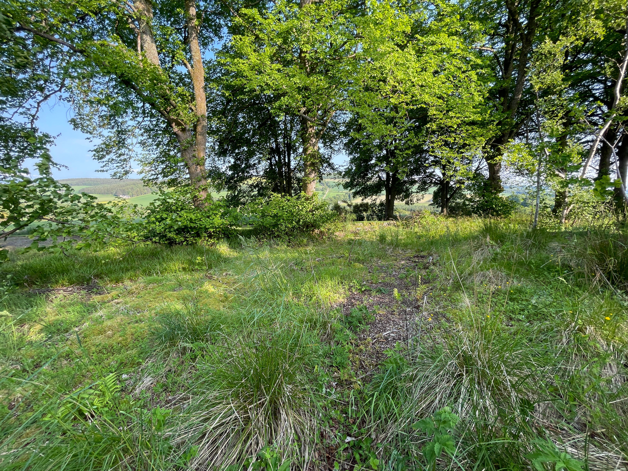 Aberdeen & Northern Estates