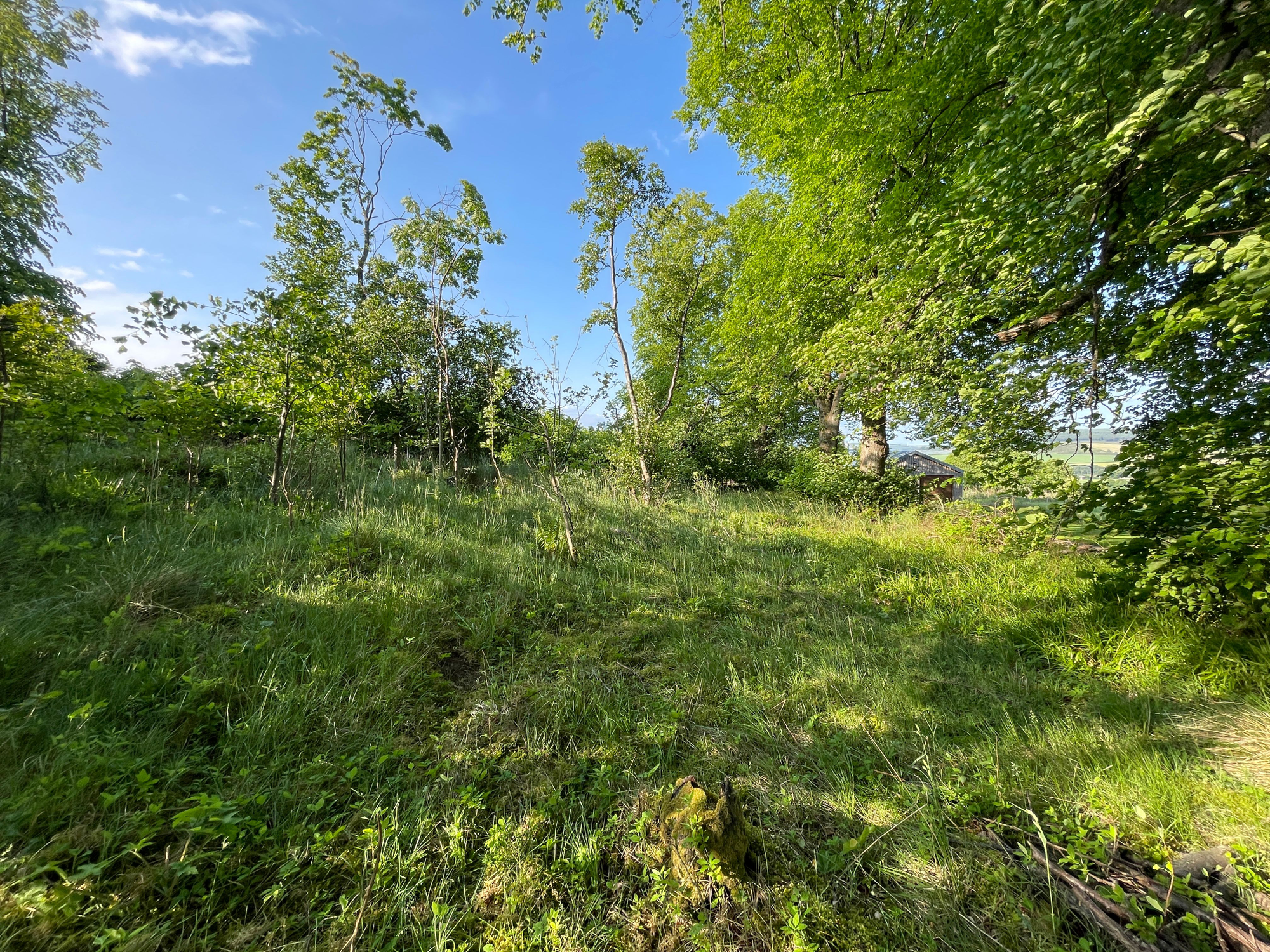 Aberdeen & Northern Estates