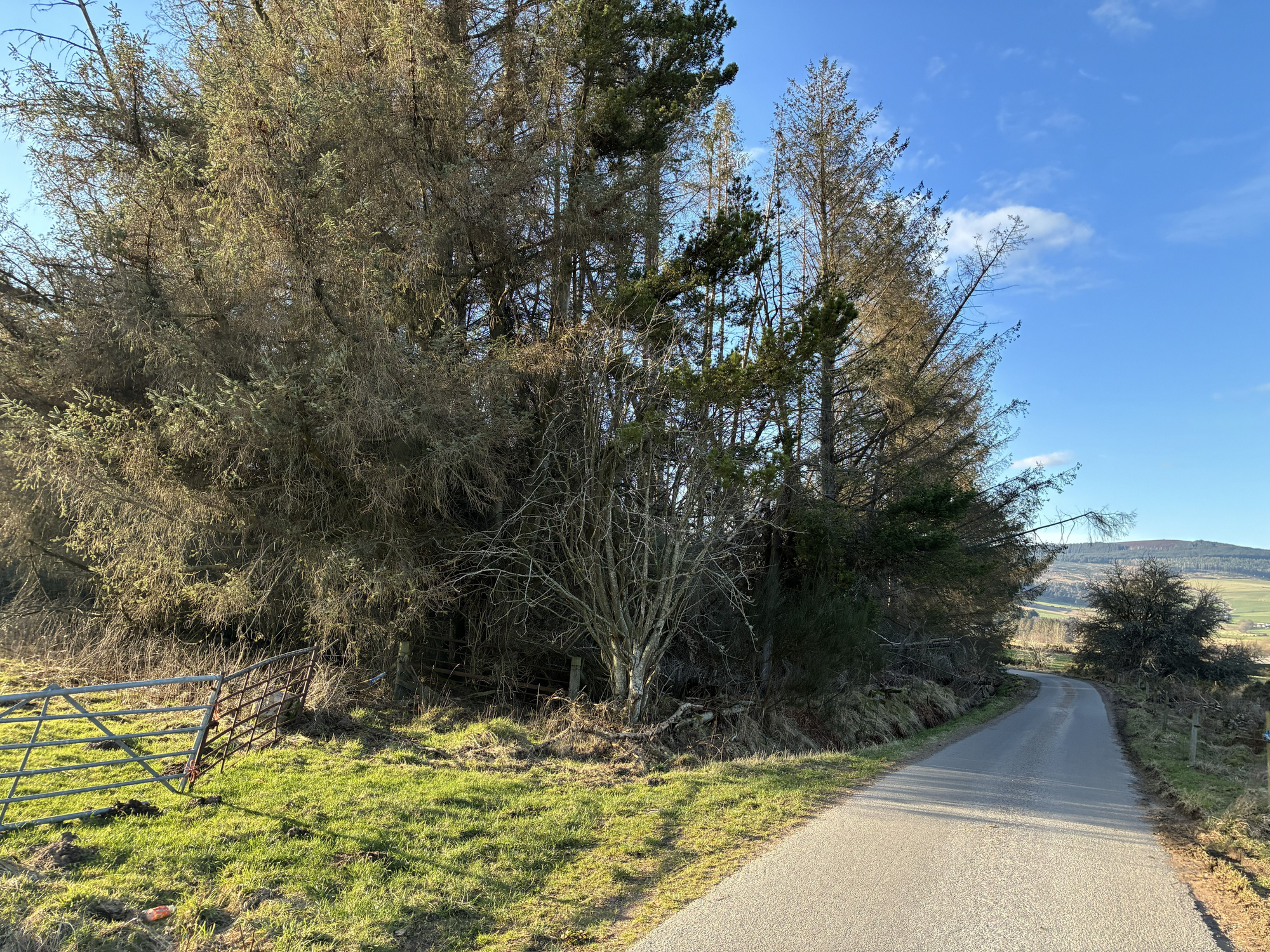 Aberdeen & Northern Estates