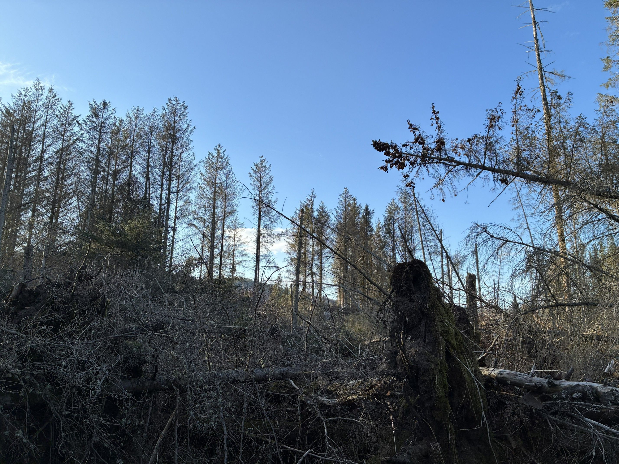 Aberdeen & Northern Estates