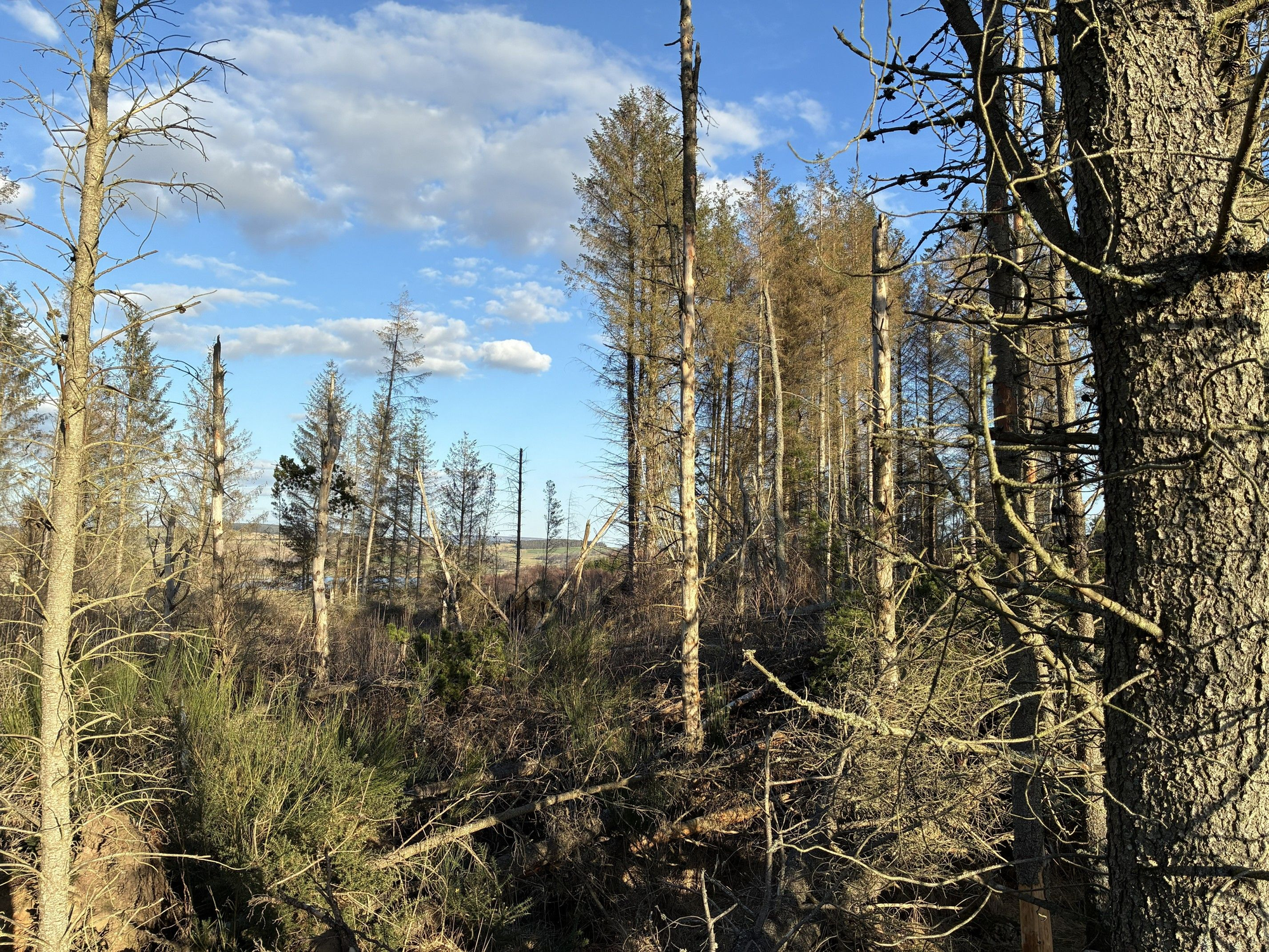 Aberdeen & Northern Estates