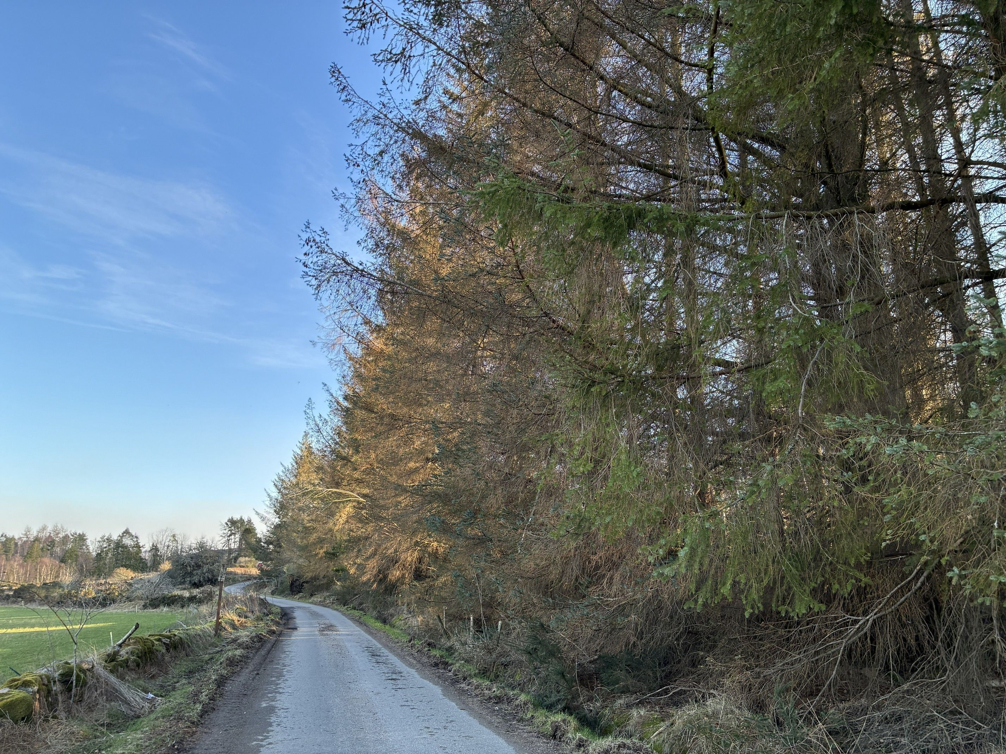 Aberdeen & Northern Estates