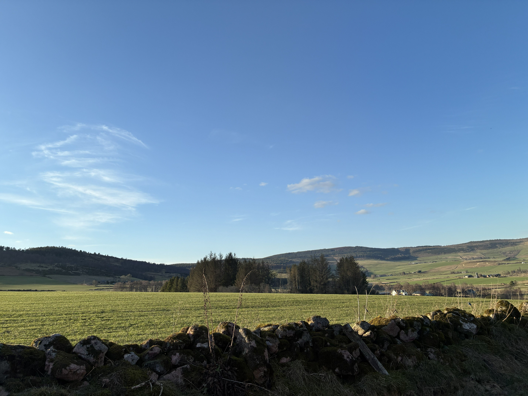 Aberdeen & Northern Estates