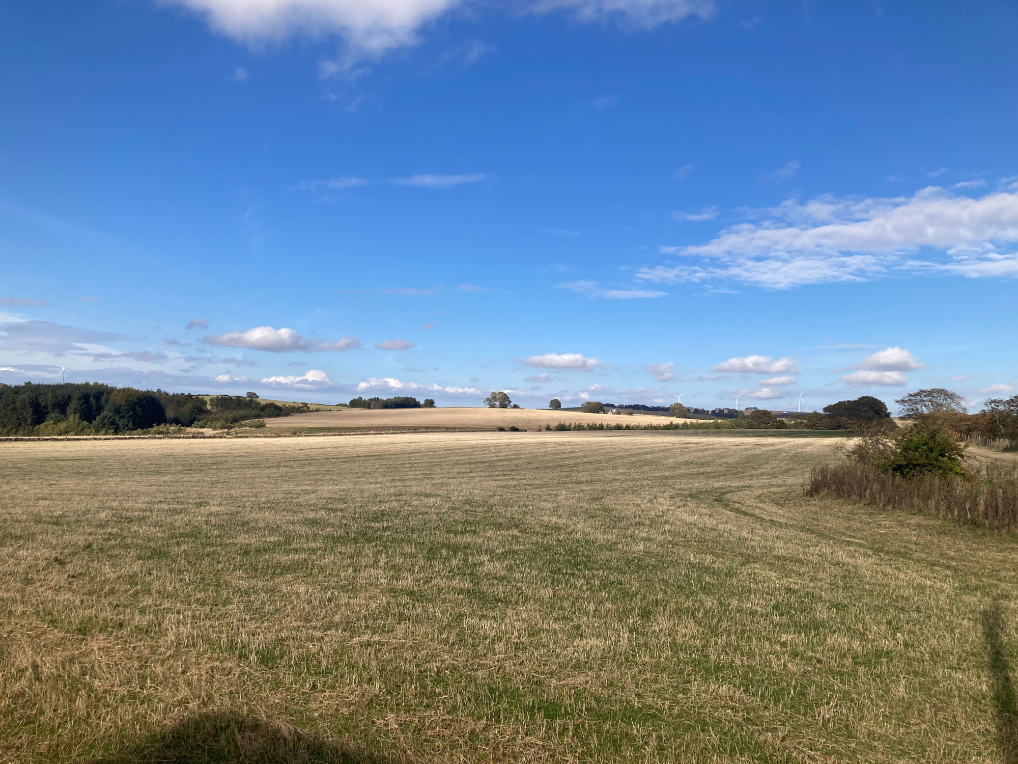 Aberdeen & Northern Estates