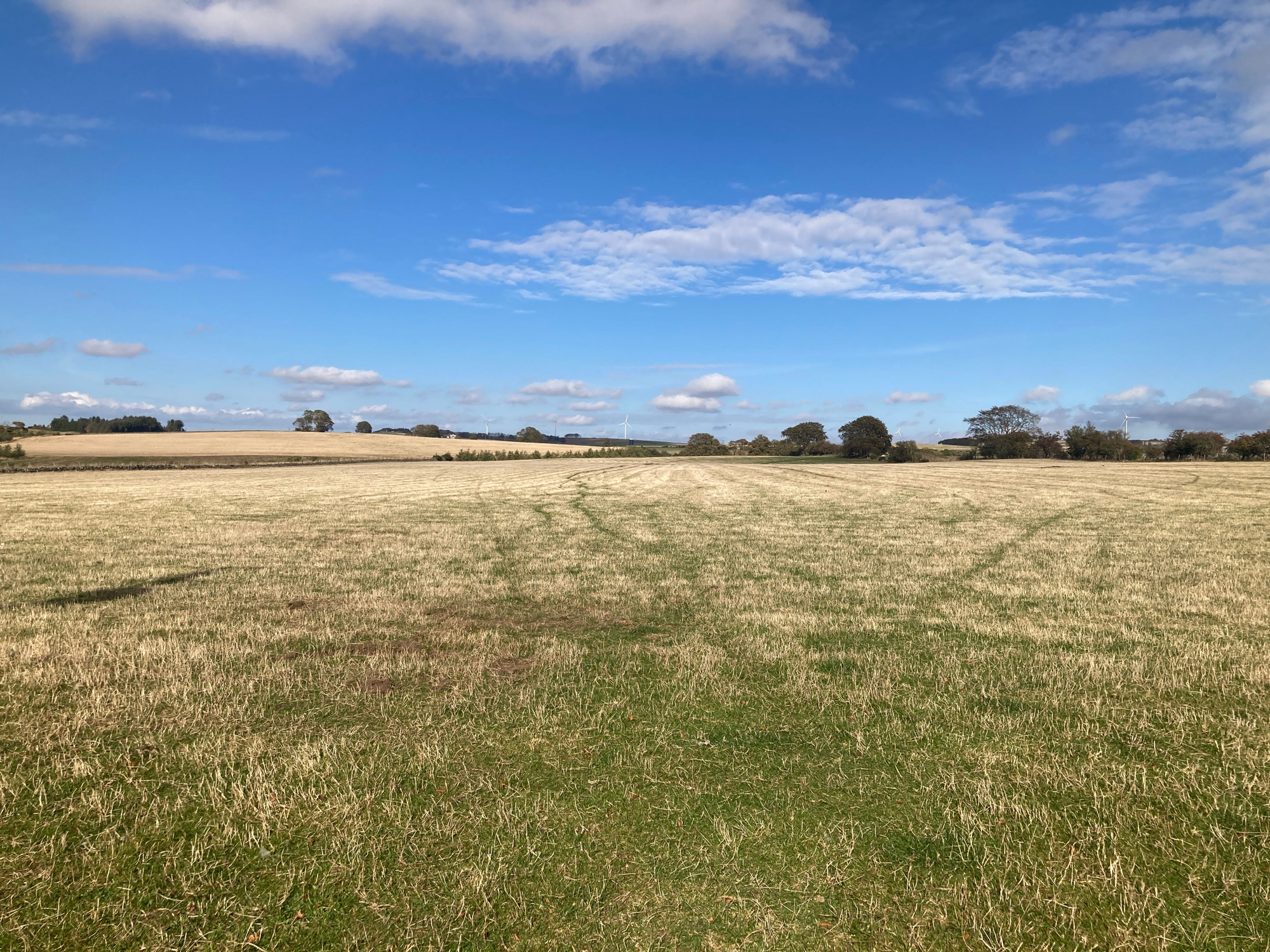 Aberdeen & Northern Estates