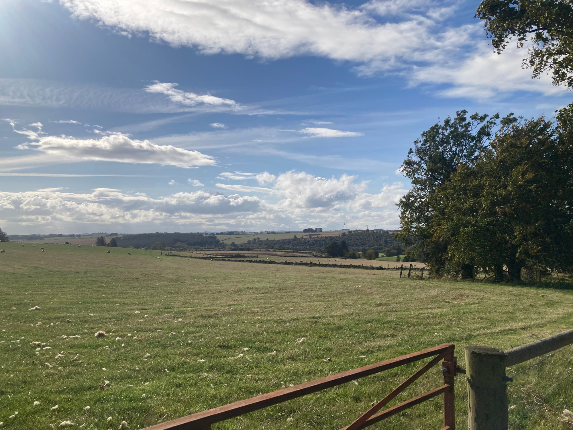 Aberdeen & Northern Estates