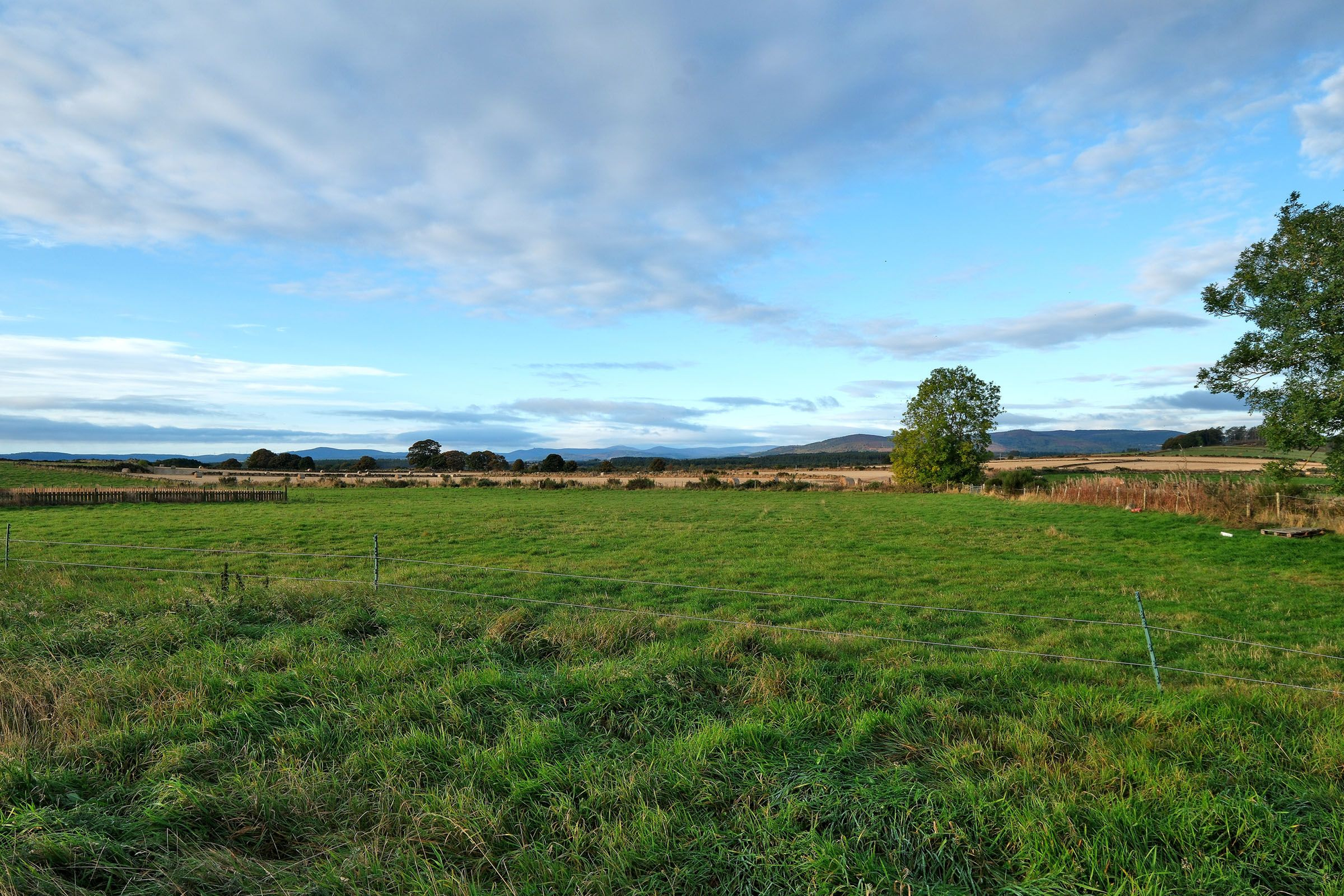 Aberdeen & Northern Estates