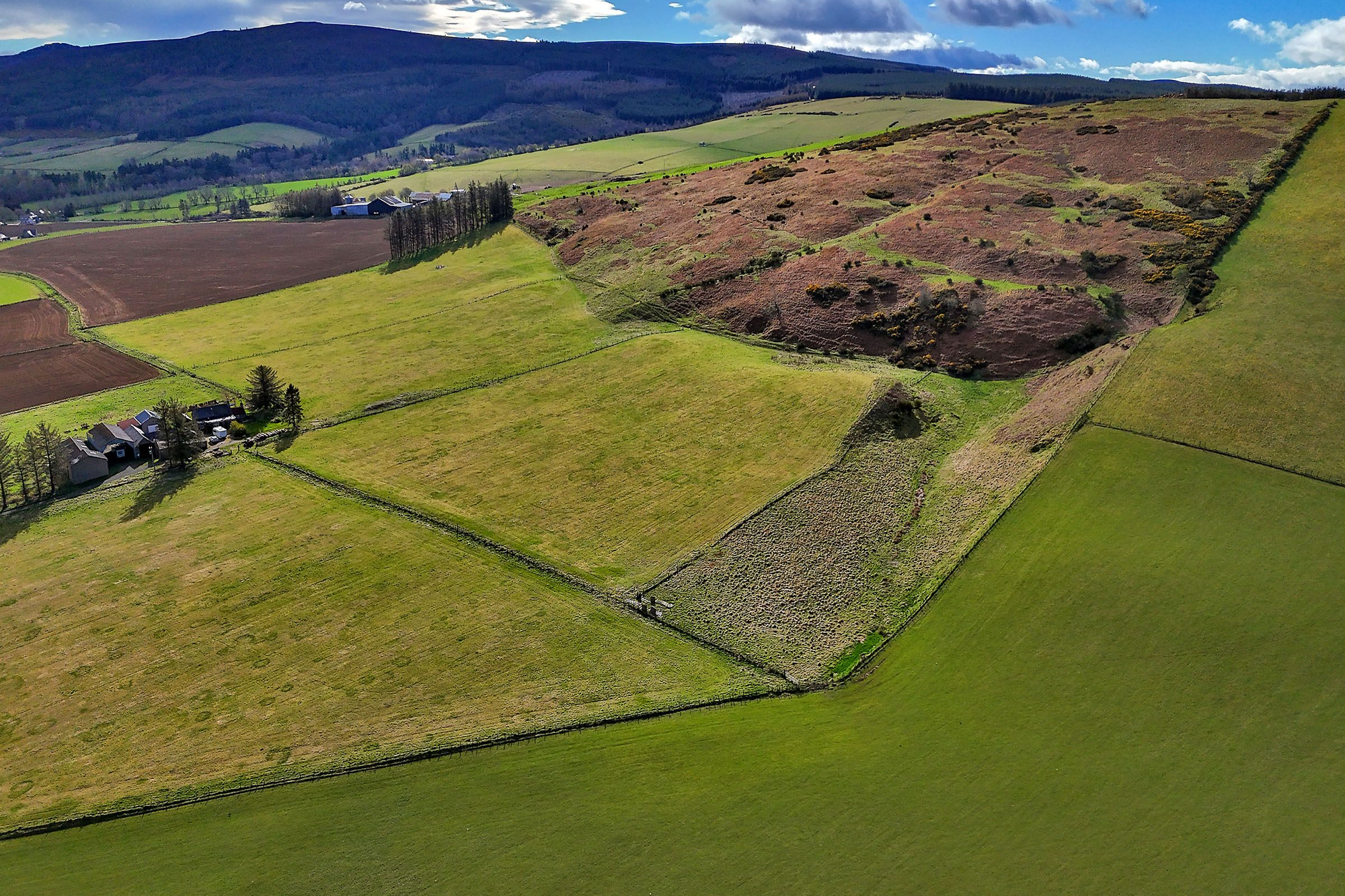 Aberdeen & Northern Estates