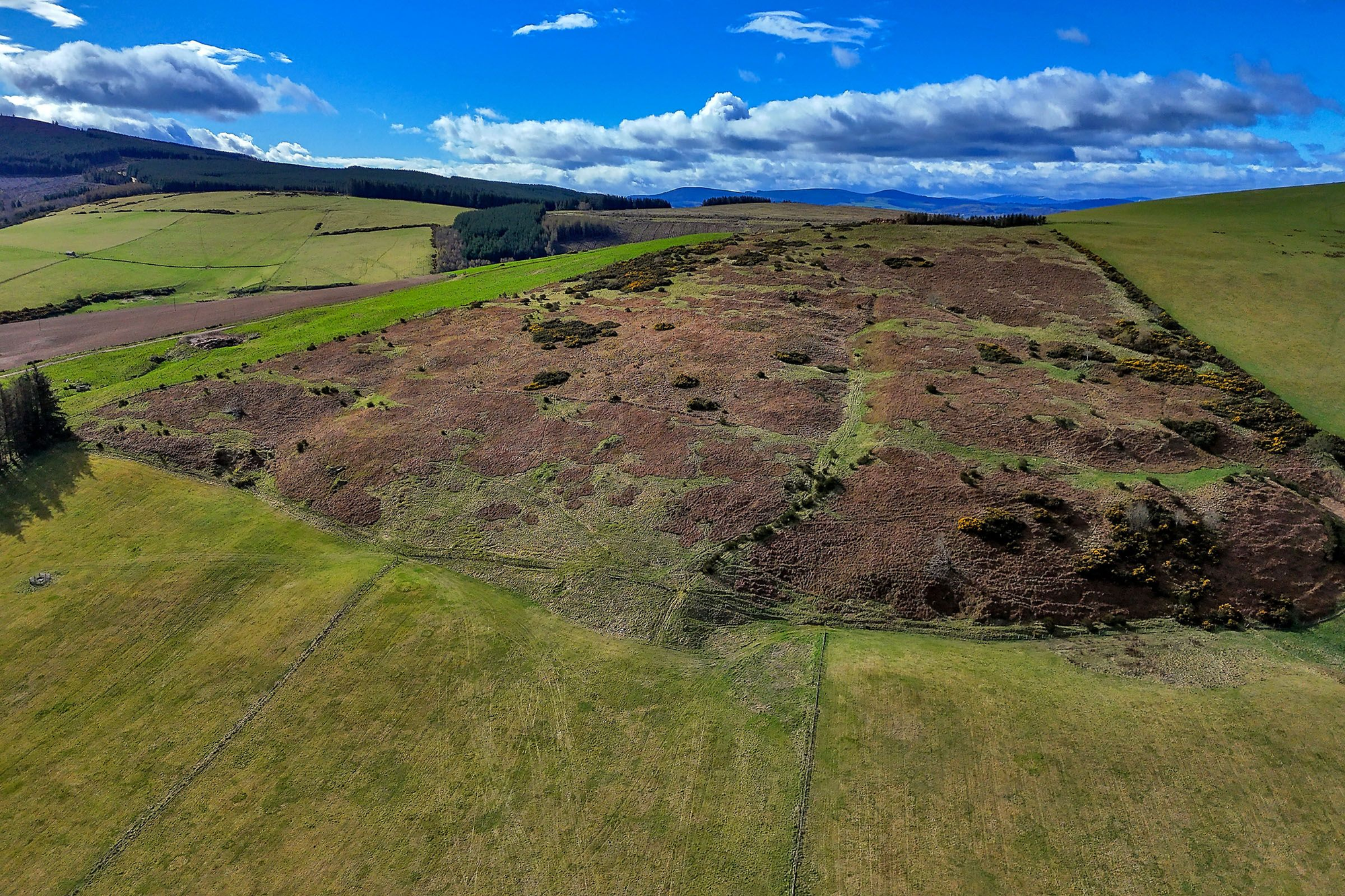 Aberdeen & Northern Estates