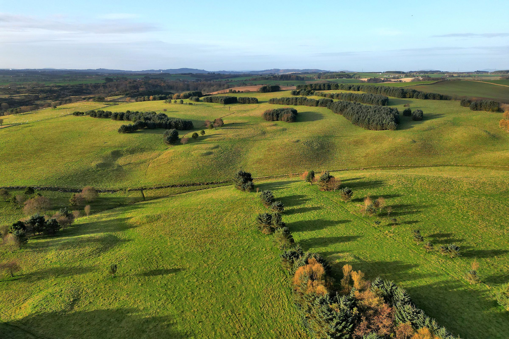 Aberdeen & Northern Estates