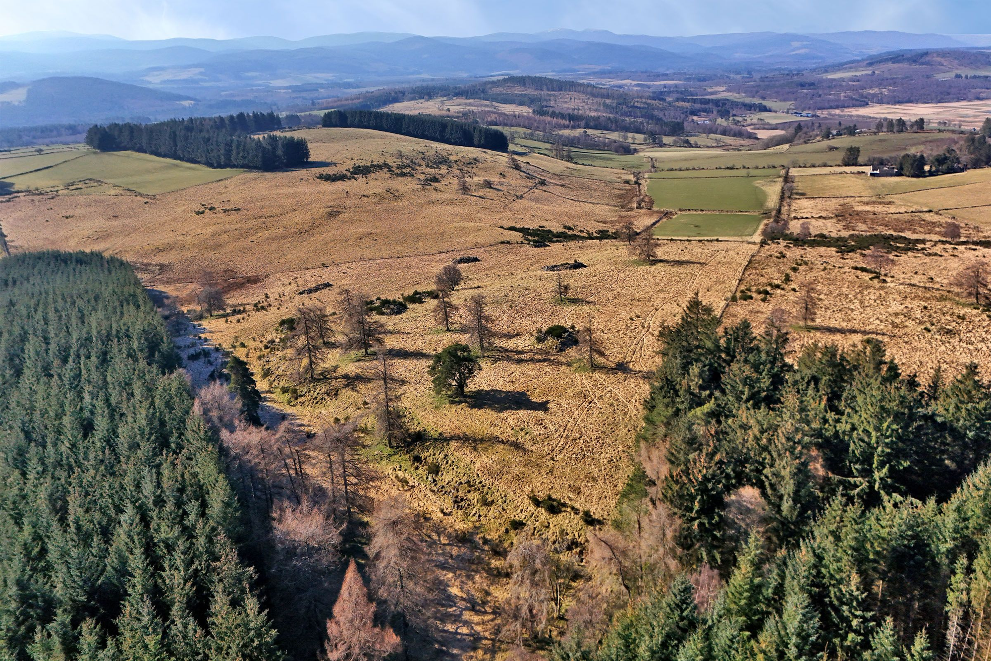 Aberdeen & Northern Estates