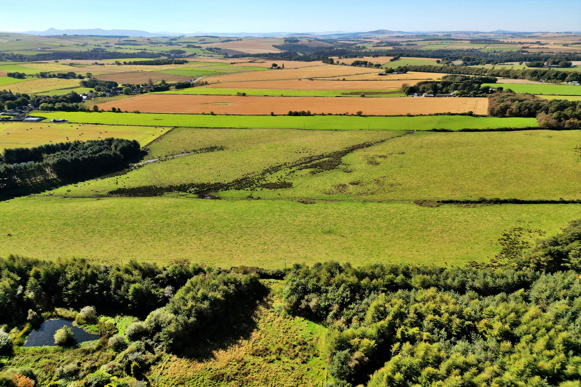 Aberdeen & Northern Estates