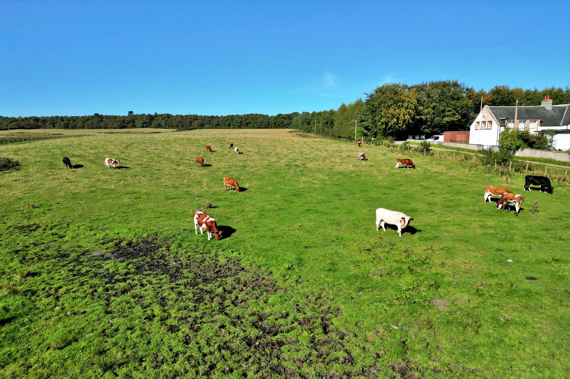 Aberdeen & Northern Estates