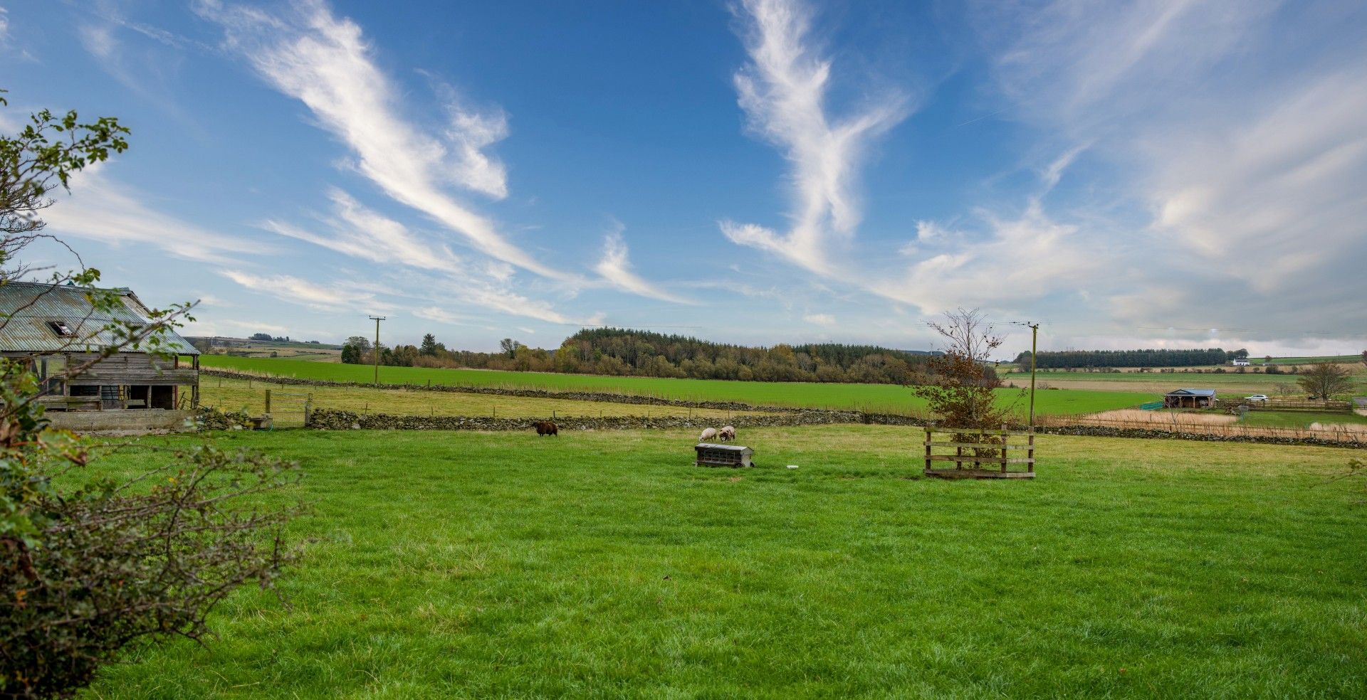 Aberdeen & Northern Estates