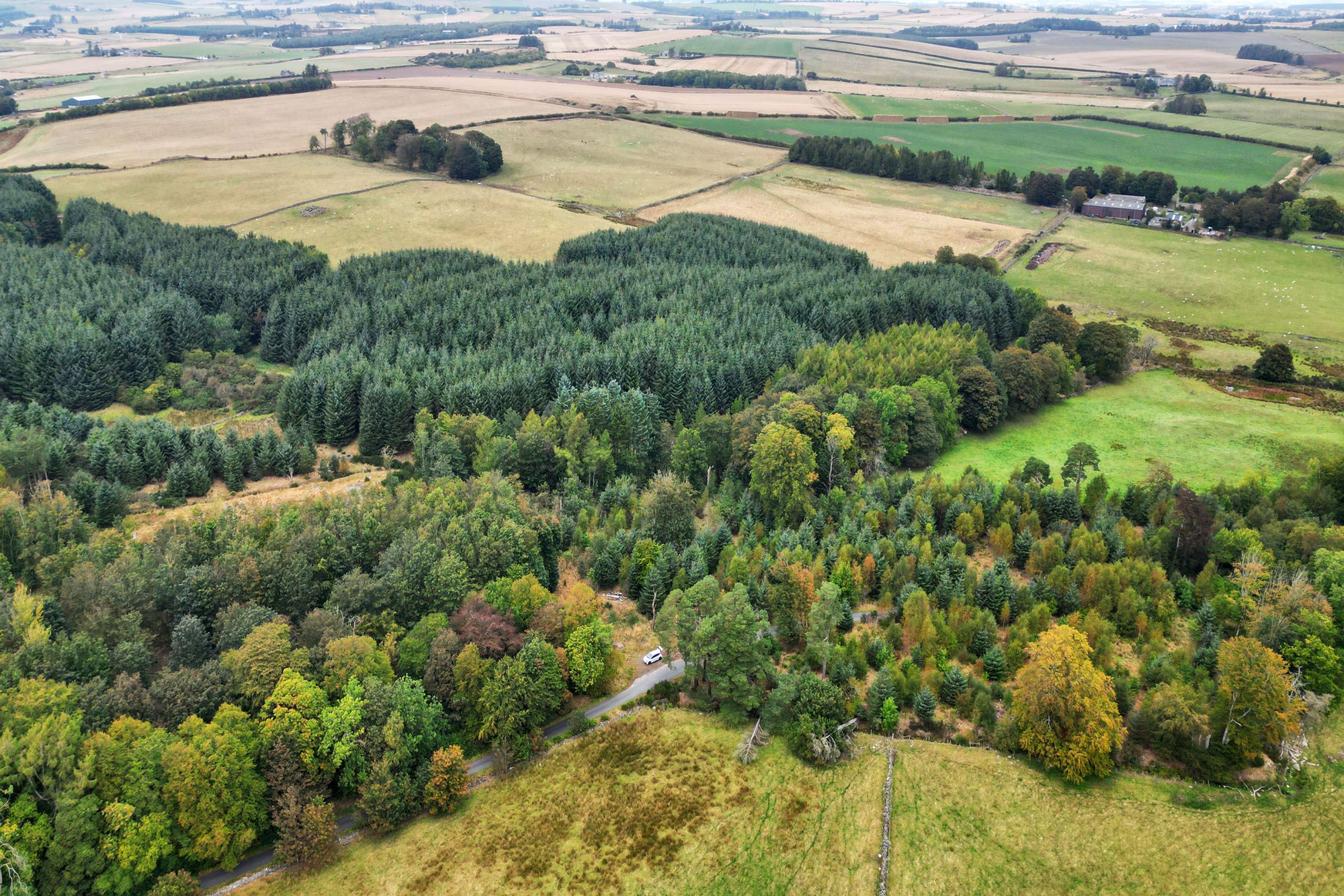 Aberdeen & Northern Estates