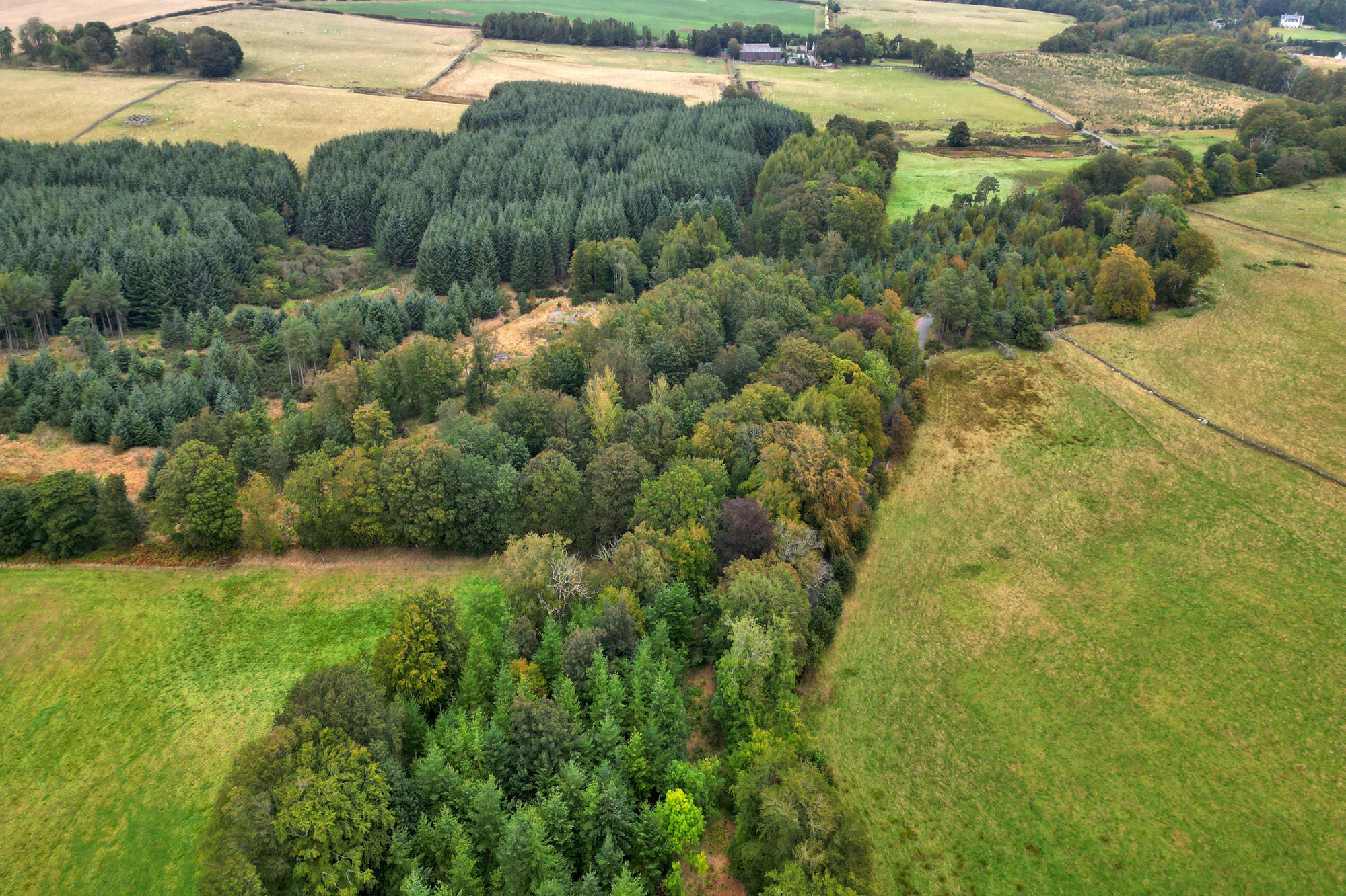 Aberdeen & Northern Estates