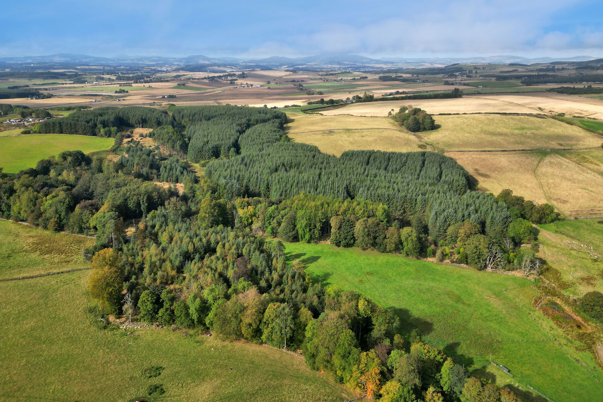 Aberdeen & Northern Estates