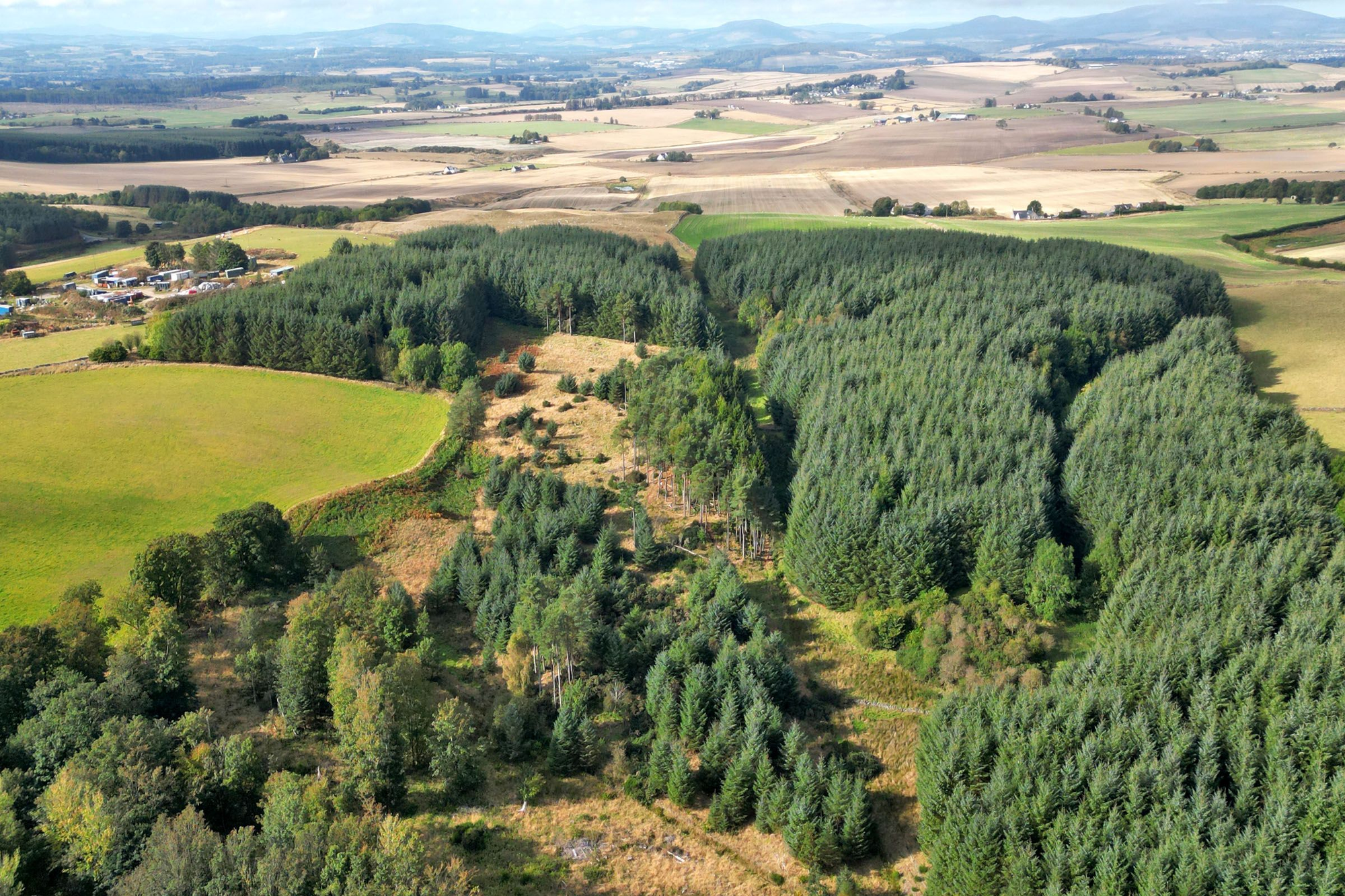 Aberdeen & Northern Estates