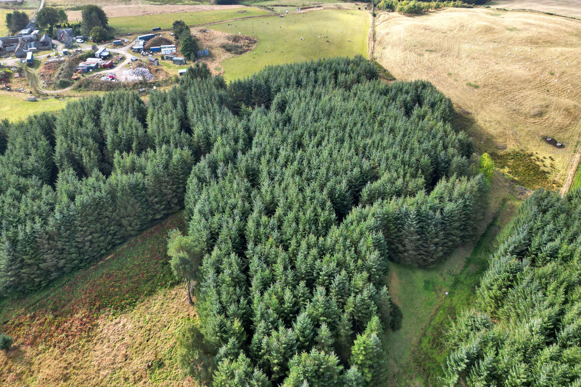 Aberdeen & Northern Estates
