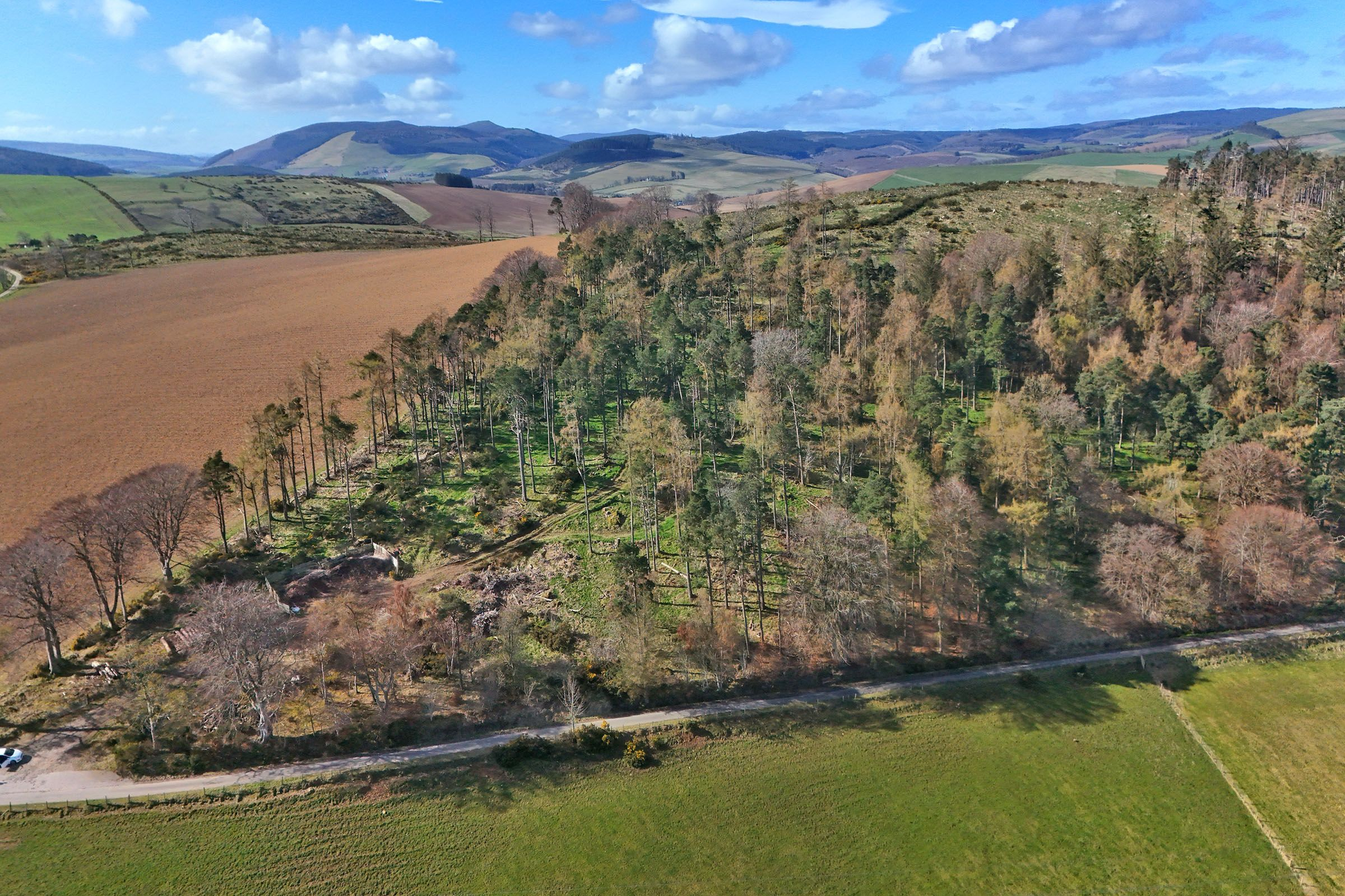 Aberdeen & Northern Estates